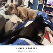 Punks In Parkas — 20 April 2026