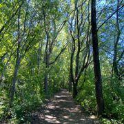 The Green Path / 20th May 2024