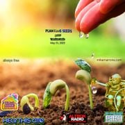 planting seeds 007 "Transistor Radio"