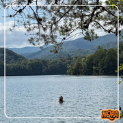 Shrymp Church w/ Frank Hurricane #3