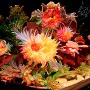 RAR | Vía de Acceso 'ቆንጆ ድብልቅ - ቭድአ 1'