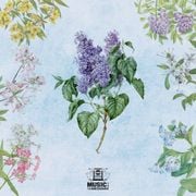 Seasons: A Sip of Spring