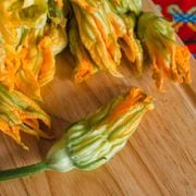 What Are Squash Blossoms? How to Plant & Successfully Grow Zucchini Blossoms - Audio Blog