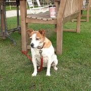 Organic Vibes 05.11.2025