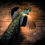 Kosta X - Live @ Soul Gastrolounge (Aquarius Rising)