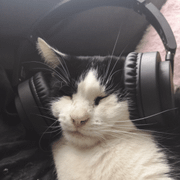 Meow Mix #7: 8/29/2019