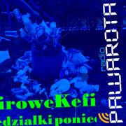 Kefirowe poniedziałki - Wczucior #127/1683 PAWAROTA Radio - 11.08.2025