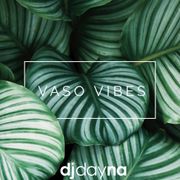 VASO VIBES