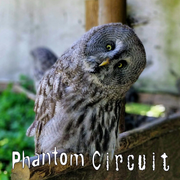 Phantom Circuit #448: Expect Nothing
