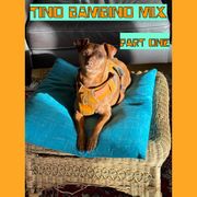 Tino Bambino Mix Part One: DJVSamsonite Presents