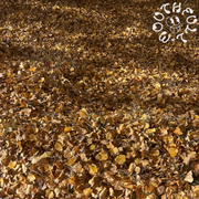 Goodbye Autumn; Violet Hirst - May 31st 2025