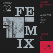 FEMIX — 32 Guest Mix by Peter Kirn