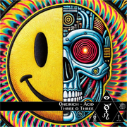 Acid Elektro Breaks