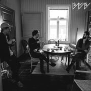 SVS 215 - BirdWorld - New Chapters