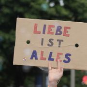 Pink Channel 09.08.2025