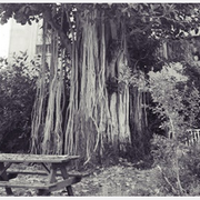 GREEK - SPECIAL- ANDREAS AND CHRISTIAN-PTR- 77-9