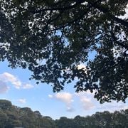 trip hop selections early 2026