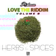 LOVE THE RIDDIM VOL9