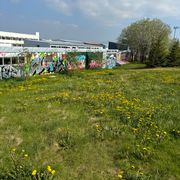 Positive Vibrations with Tommi White on Pressure Radio 12.06.2024