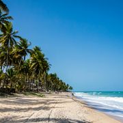 Deep and Groovy Mix - August 2024