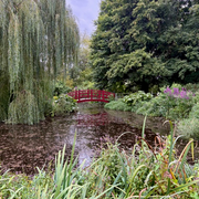 The Gardening Show with Linda & Jane - 22nd August 2025