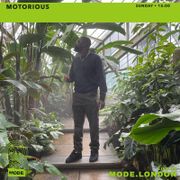 16/06/2024 - Motorious
