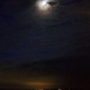 M3M0RYL34K 00000078 2024.08.18