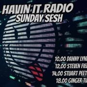#388 Sunday Sesh! Havin IT Radio 50's Edition Tech House