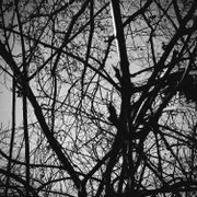 Núvol de fum 498 | inici T14