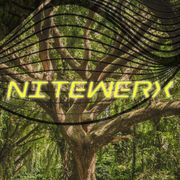 Atlantic Progression Presents: Nitewerx