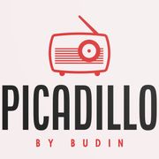 PICADILLO # 001 by BUDIN