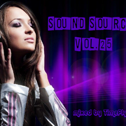 Sound Source Vol. 25