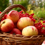 What Fruits Are in Season in Summer? List of The Best Summertime Fruit - Audio Blog