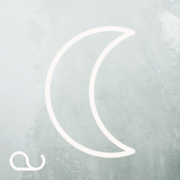 The Moon and The Whale