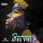 summer-AFRO VIBEZ RELOADED (worldwide mixx)
