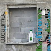 Kefirowe poniedziałki - Wczucior #103/1525 PAWAROTA Radio - 27.01.2025