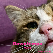 Cafe Gatto / Downtempo Vol.74