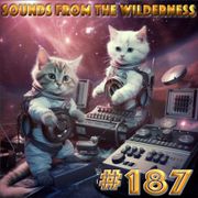 #187 Sounds From The Wilderness 14 September 2025