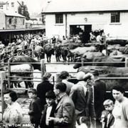 What's the Story, Newton Abbot? Markets!