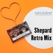Dj Shepard aka. Dj Rich - Retro Mix (90's Disco)