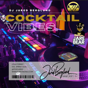 Vibes on the Rocks | Spring Cocktail Set | DJ Jared Berglund