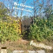 Kefirowe poniedziałki - Wczucior #135/1723 PAWAROTA Radio - 06.10.2025