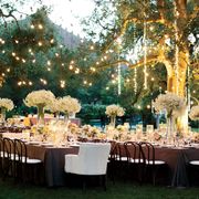 DJ Lou's Latin Wedding Dinner Set #4