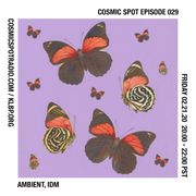 Cosmic Spot Episode 029 - Ambient, IDM, Dub