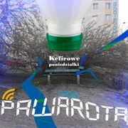 Kefirowe poniedziałki - Wczucior #111/1579 PAWAROTA Radio - 31.03.2025