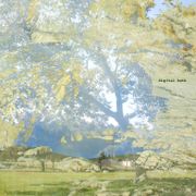 Digital Bath w/ Ollie (11.17.2024)