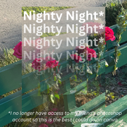 Nighty Night w/ Nayri (12.21.2025)