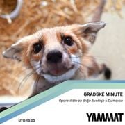 Gradske minute - Oporavilište za divlje životinje, 12.3.2024.