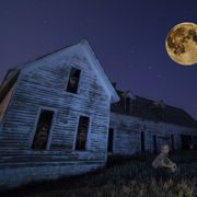 #296 Spooky Tales