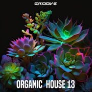 Groove Organic House 13